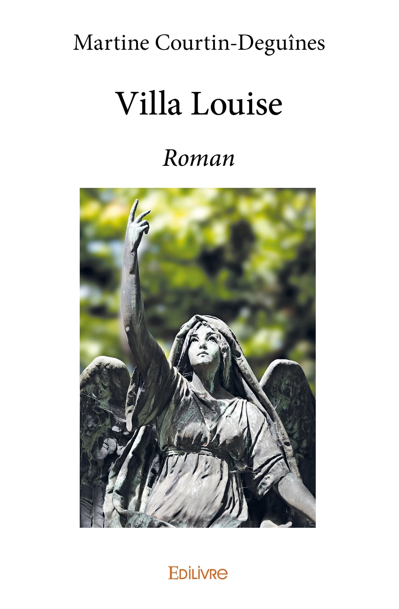 Villa Louise book