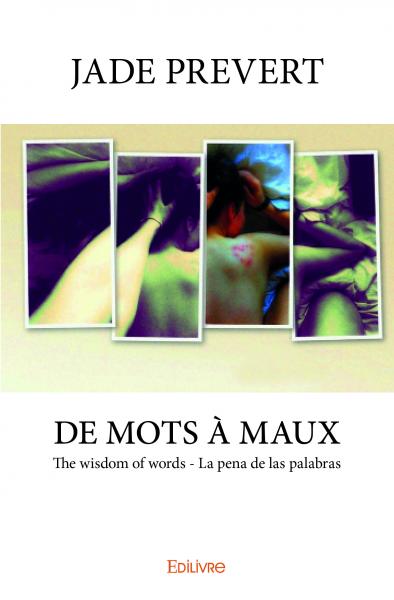 De mots à maux the wisdom of words : la pena de las palabras book