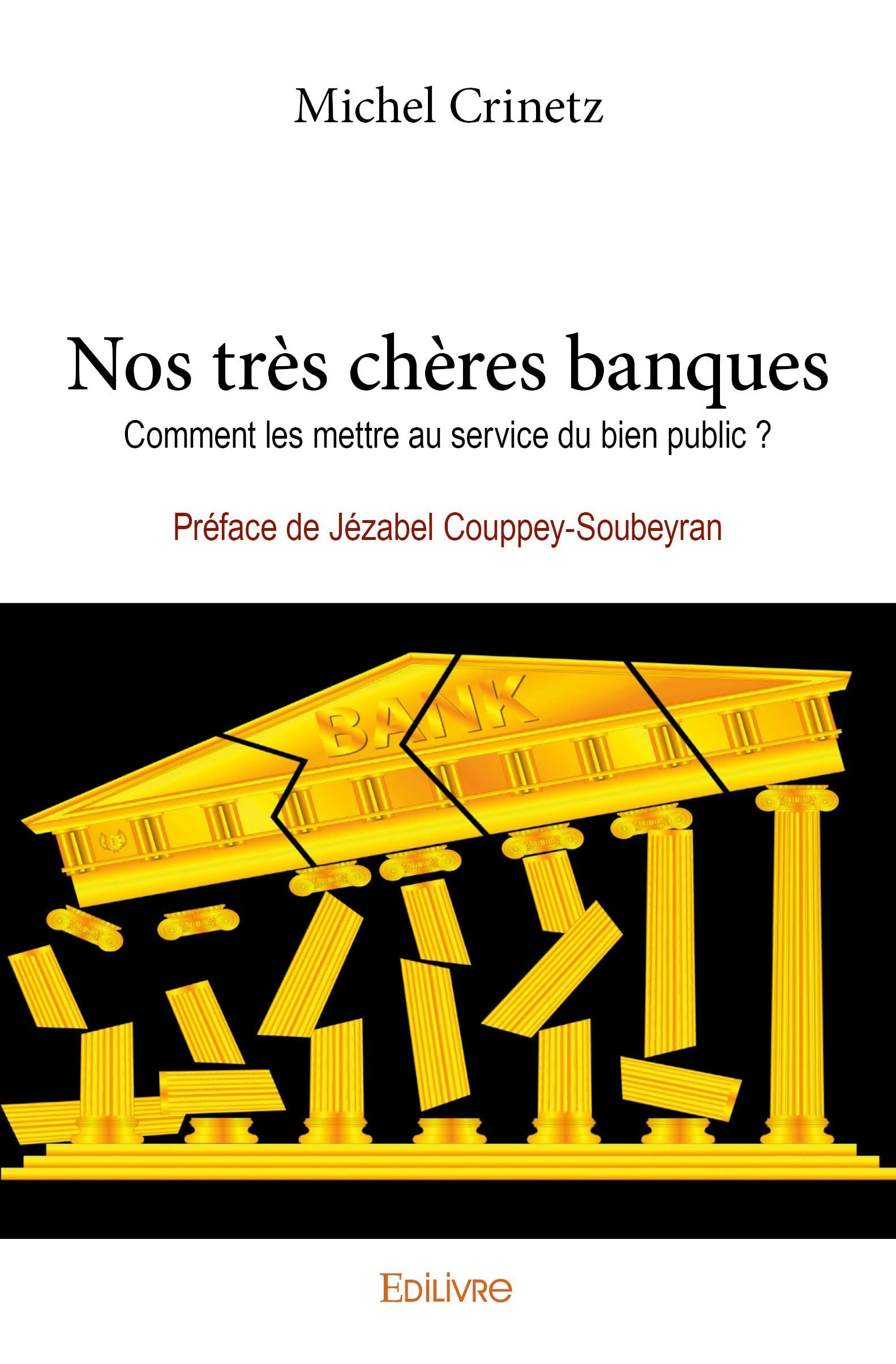 Nos très chères banques: Comment les mettre au service du bien public ? - Préface de Jézabel Couppey-Soubeyran book