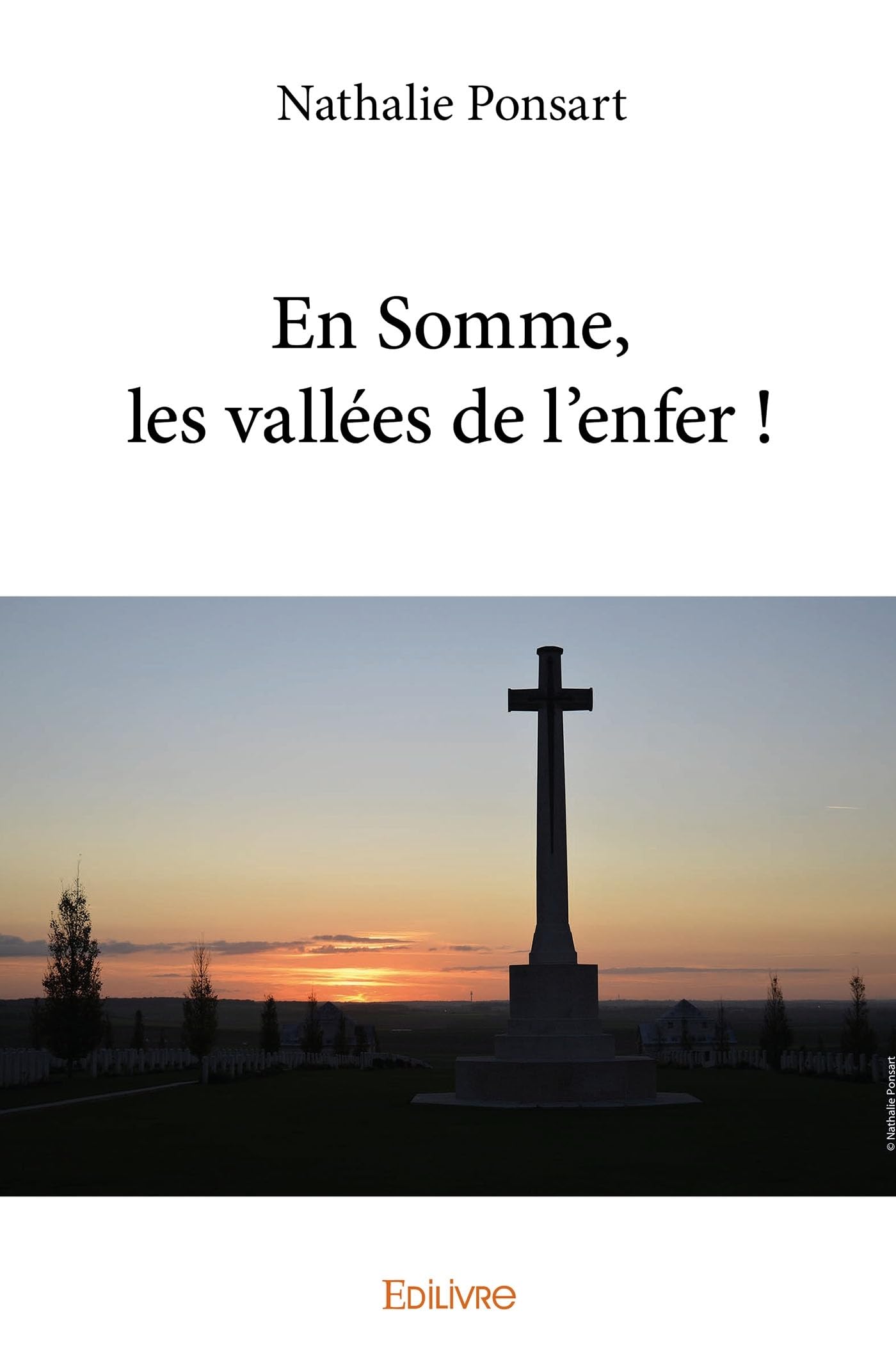 En Somme, les vallées de l'enfer ! book