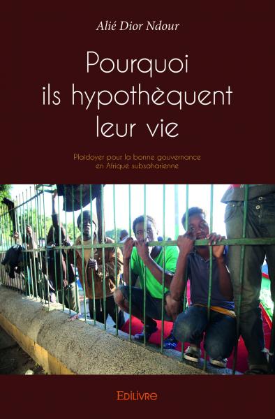 Pourquoi ils hypothèquent leur vie : Plaidoyer pour la bonne gouvernance en Afrique subsaharienne Essays & Short Stories