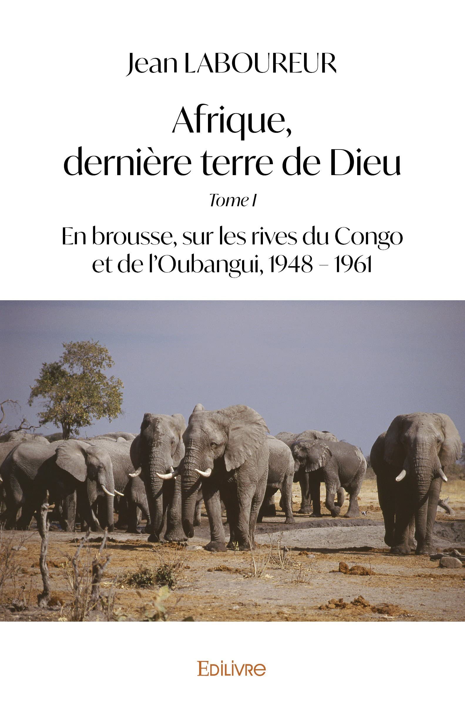 Afrique, dernière terre de Dieu - Tome I book