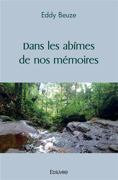 Product Image: Dans les abîmes de nos mémoires