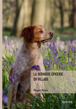 La dernière épicerie du village Contemporary literature