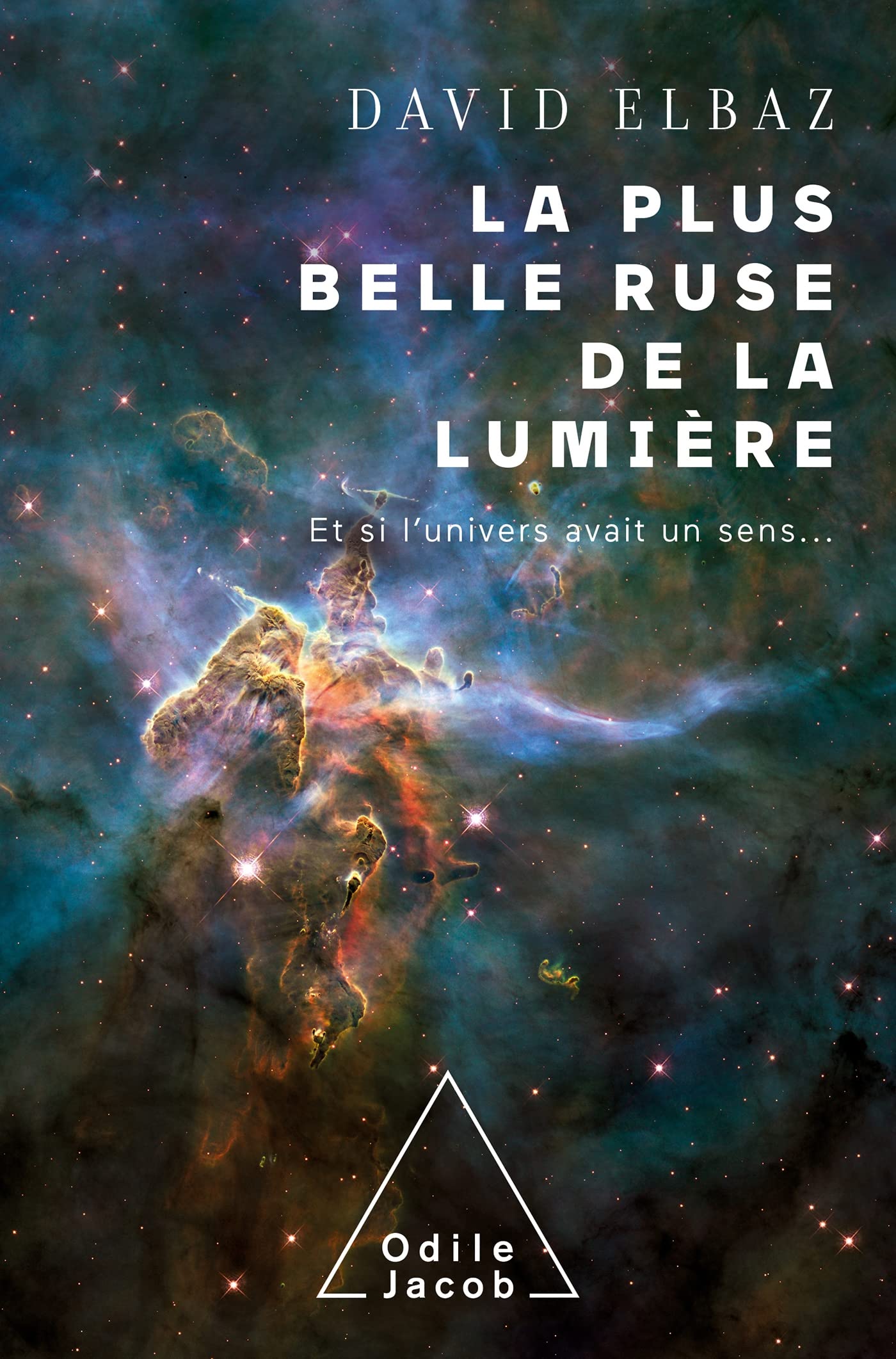 La plus belle ruse de la lumière: Et si l'univers avait un sens Natural Sciences