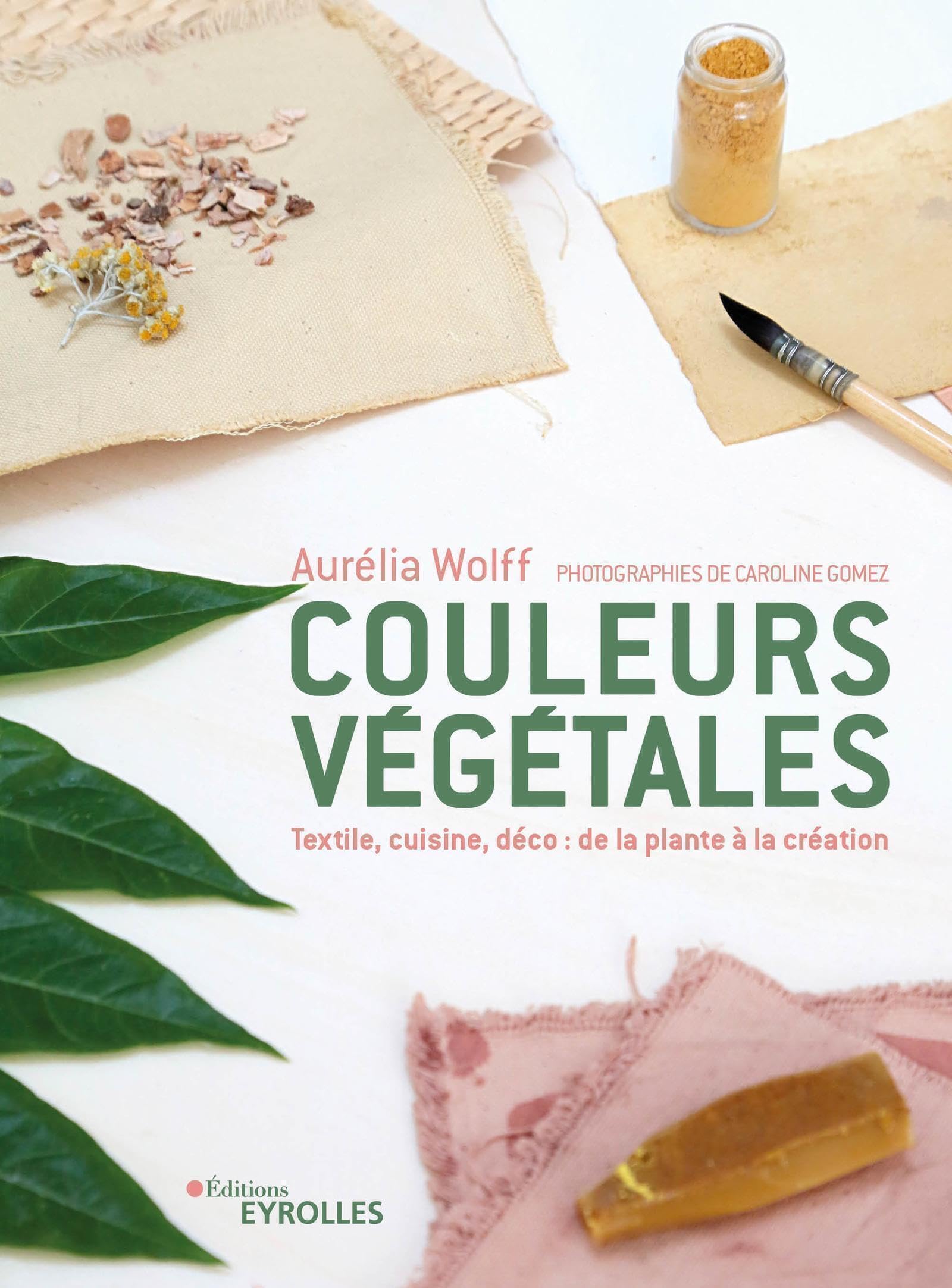 Couleurs végétales : de la plante à la création: Textile, cuisine, déco Hobbies & Crafts
