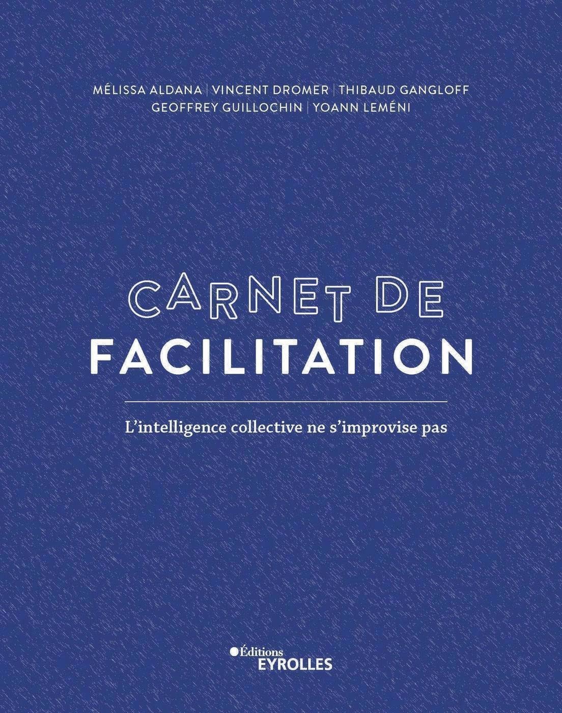 Carnet de facilitation: L'intelligence collective ne s'improvise pas Business, Finance & Career
