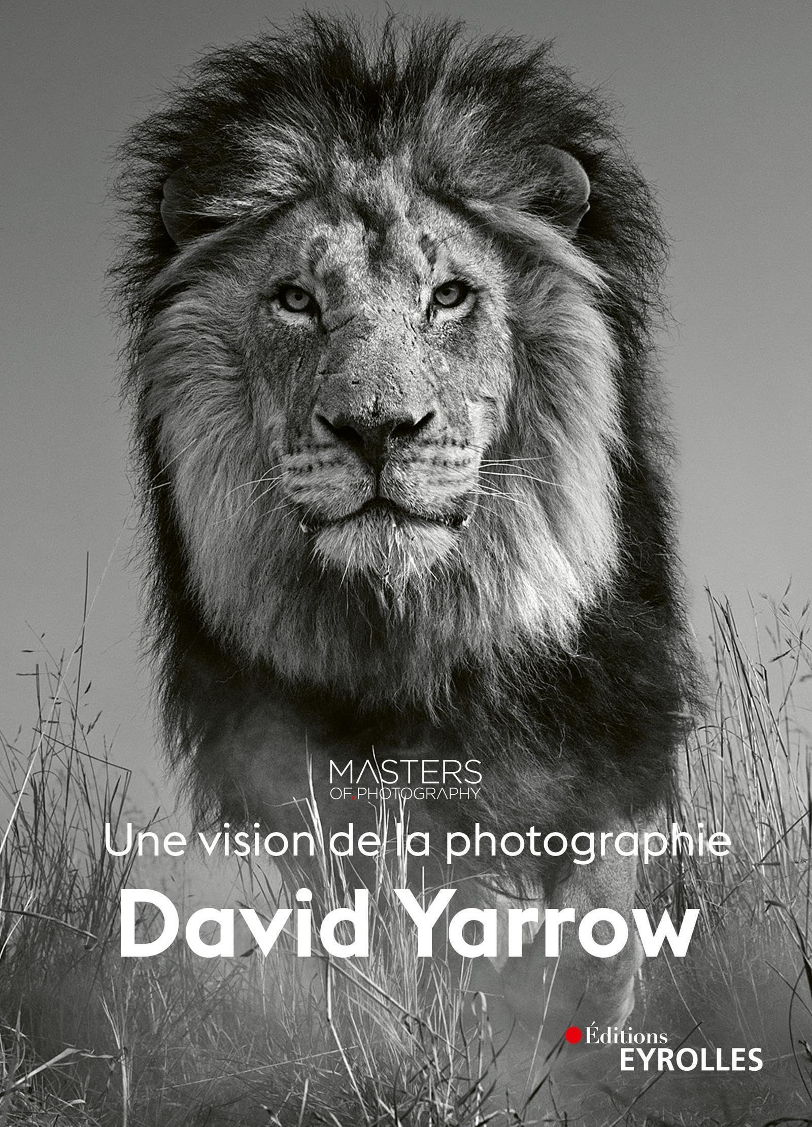 David Yarrow, une vision de la photographie Photography