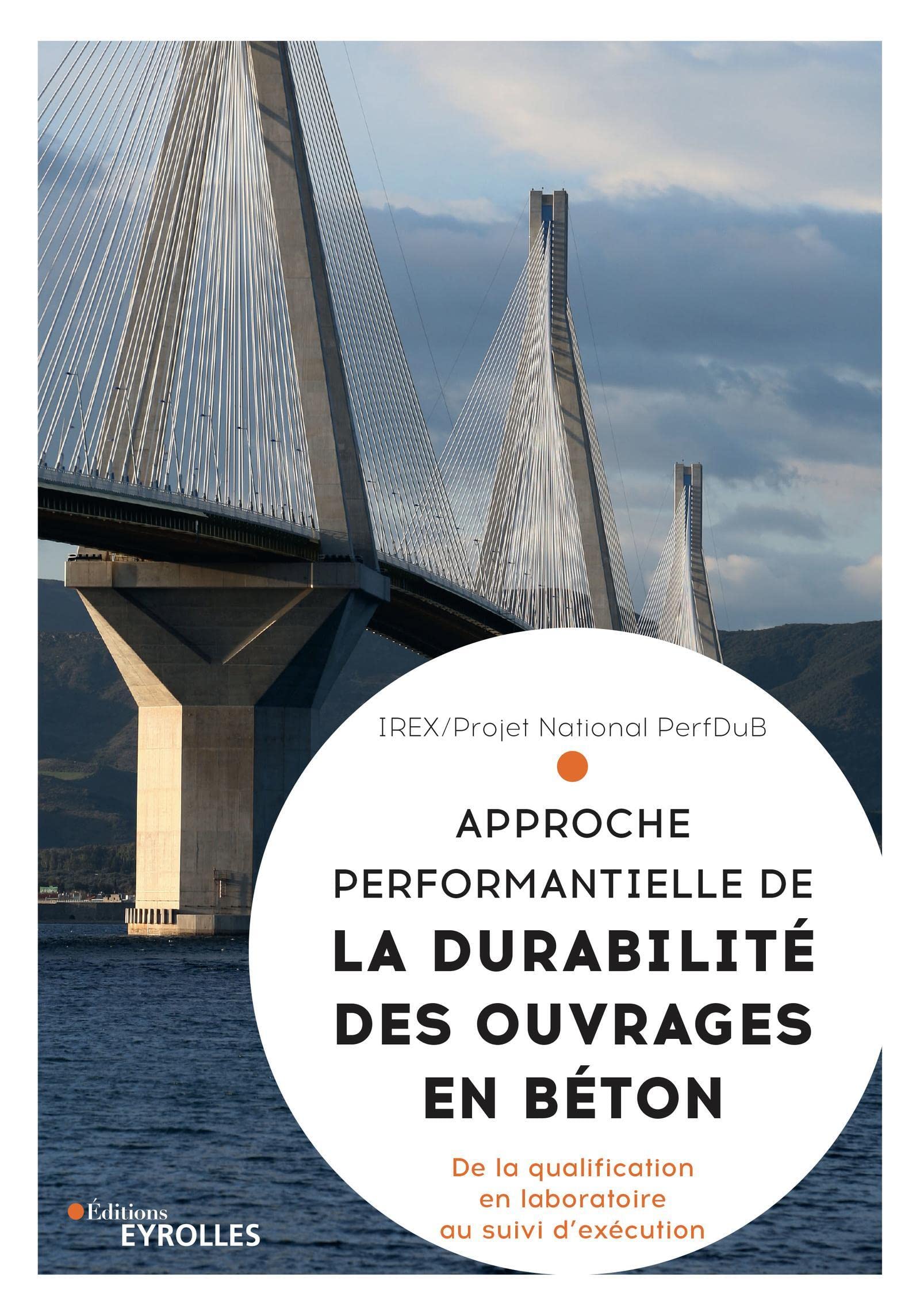 La durabilité des ouvrages en béton: Performance et durabilité book