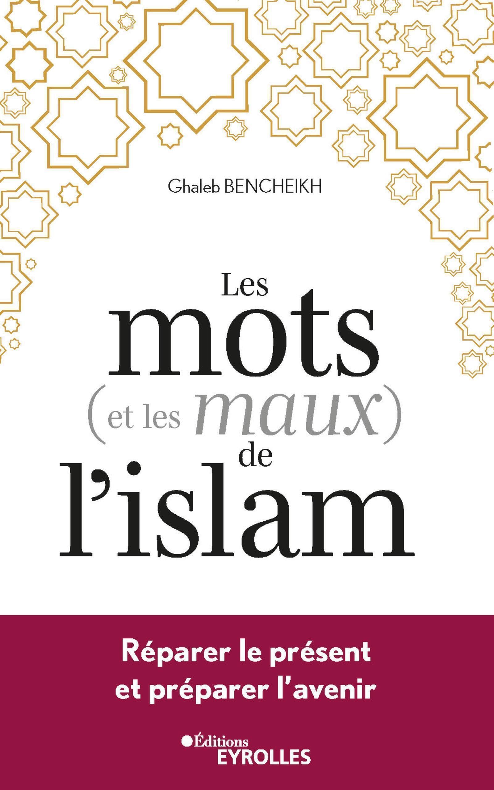 Les mots (et les maux) de l'islam: Réparer le présent et préparer l'avenir book
