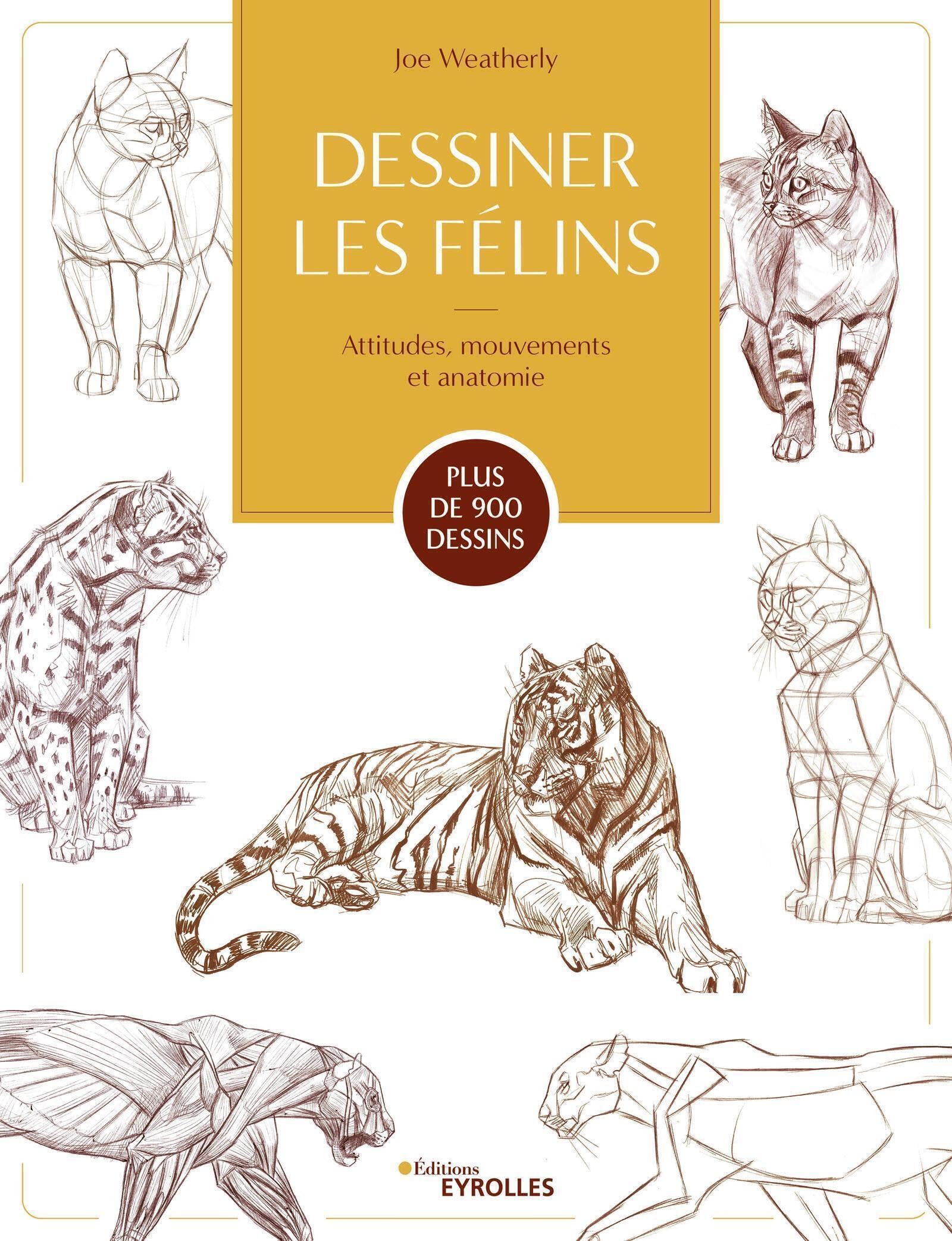 Dessiner les félins: Attitudes, mouvements et anatomie Arts & Music