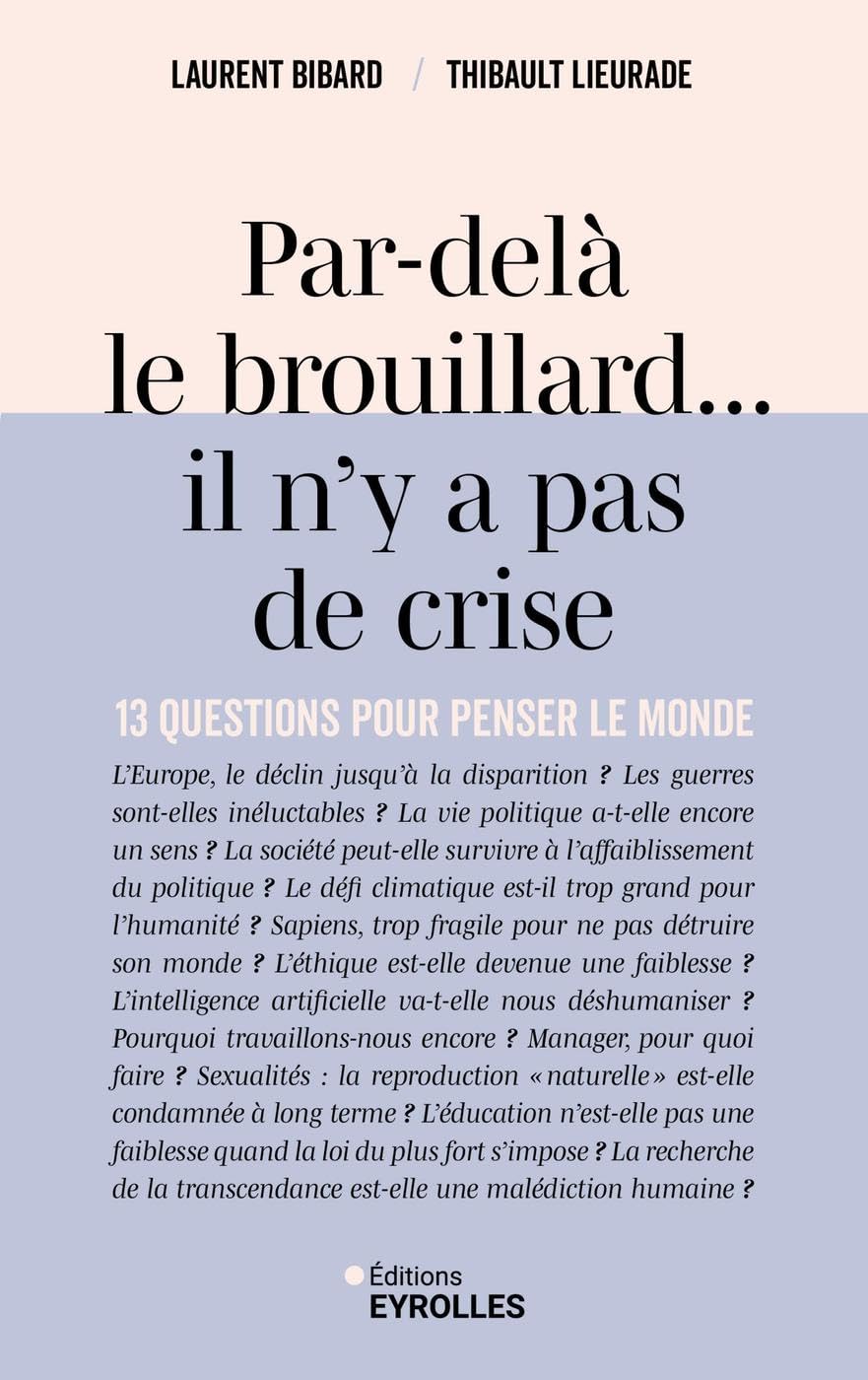 Par-delà le brouillard... il n'y a pas de crise: 13 questions pour penser le monde book