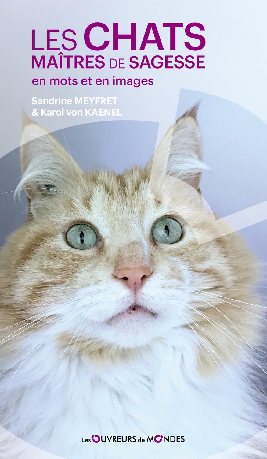 Les chats maîtres de sagesse en mots et en images book
