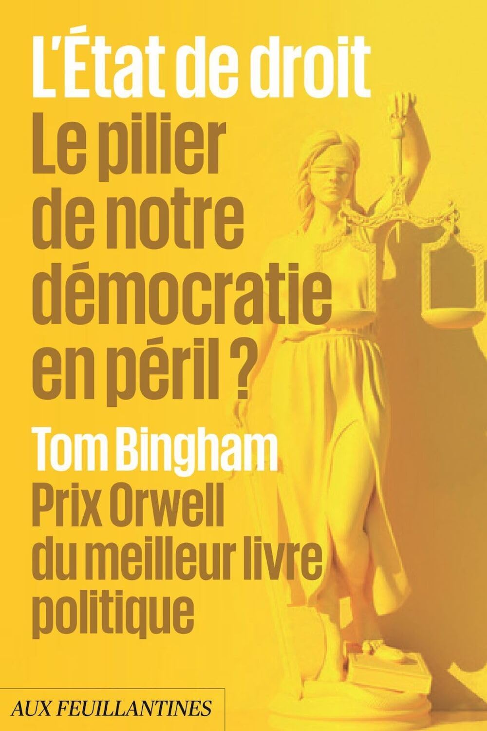 L'Etat de droit: Le pilier de notre démocratie en péril ? book