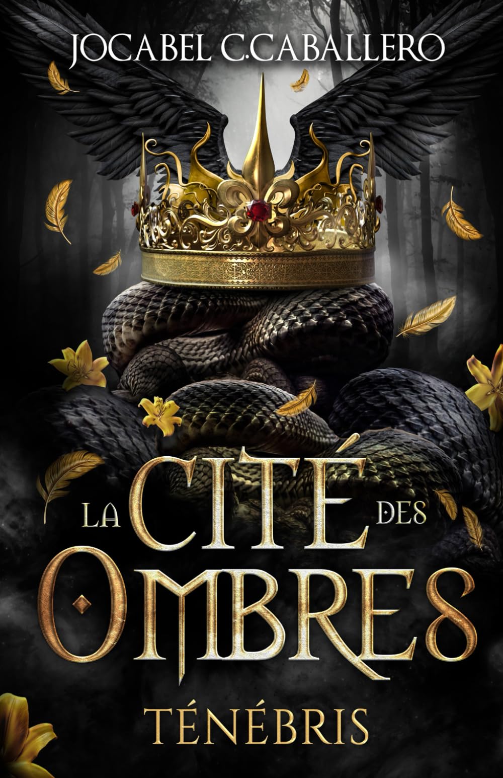 Ténébris - 1. La Cité des Ombres book