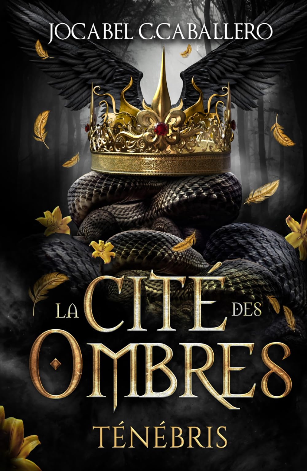Ténébris - 1. La Cité des Ombres book