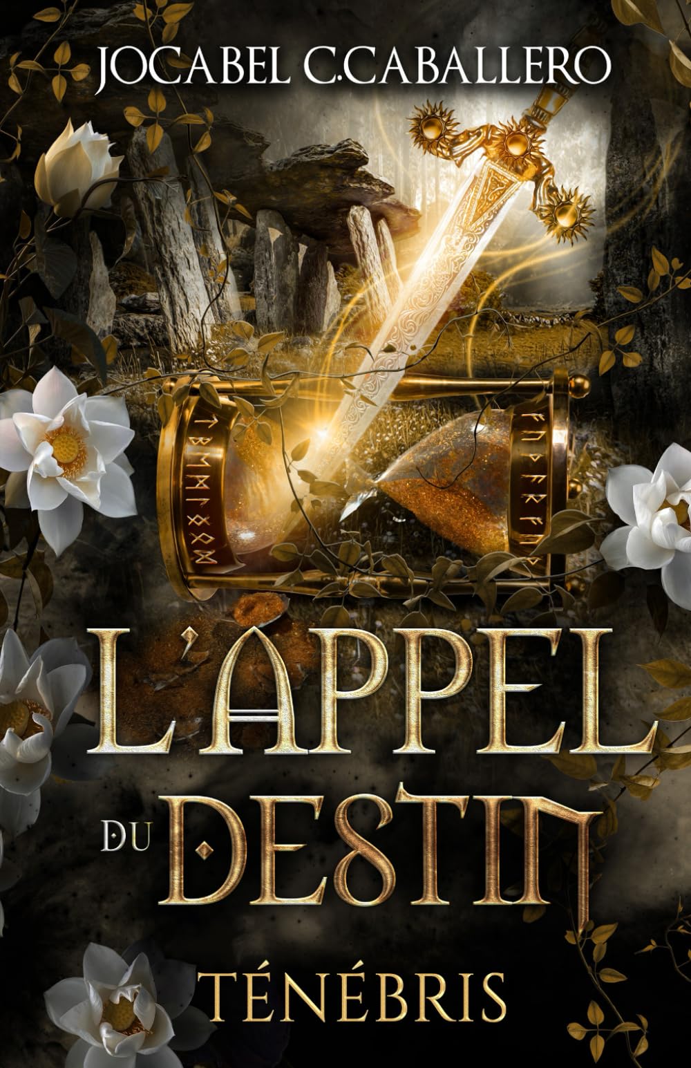Ténébris - 3. L'Appel du Destin book