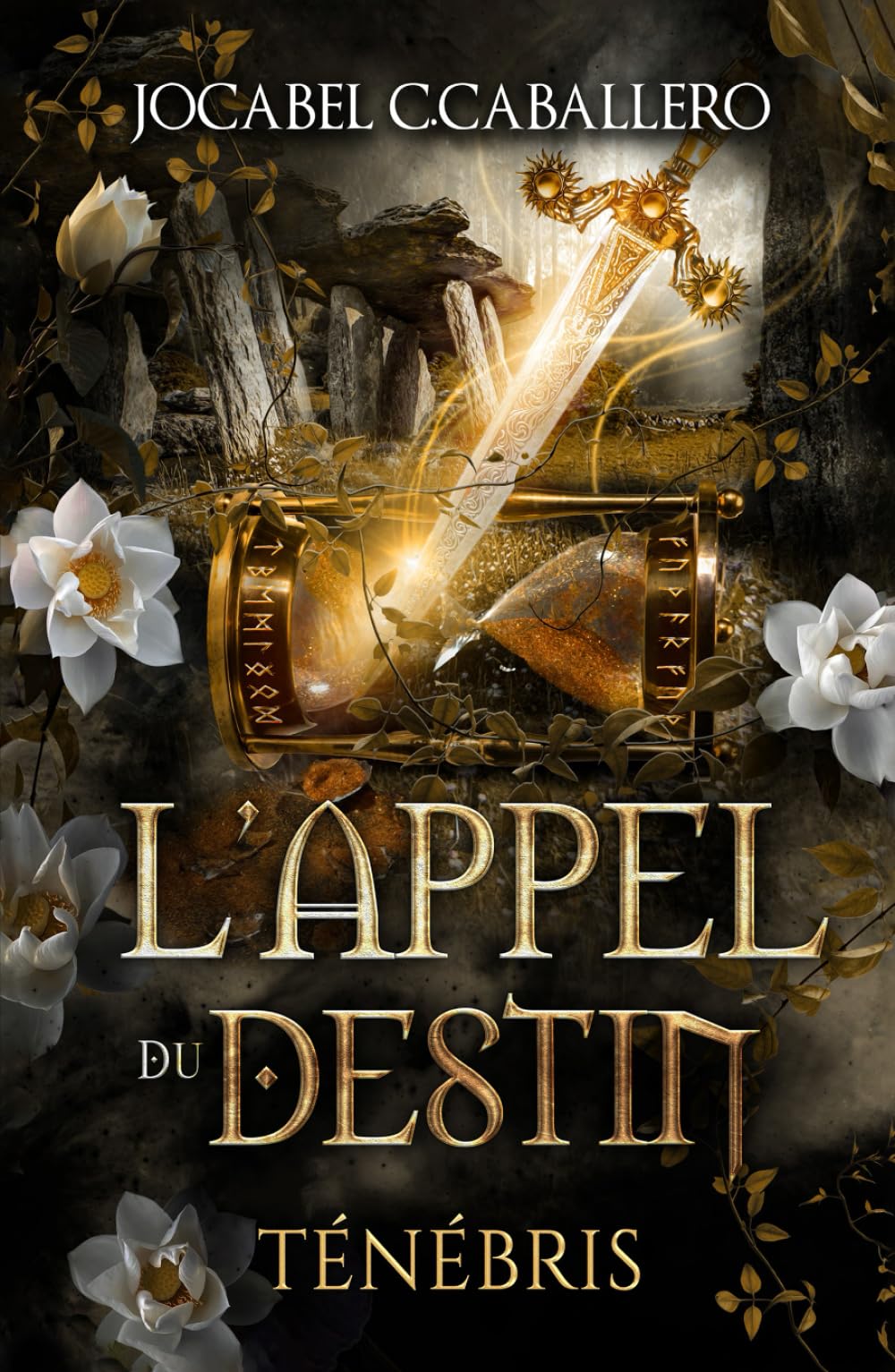 Ténébris - 3. L'Appel du Destin book