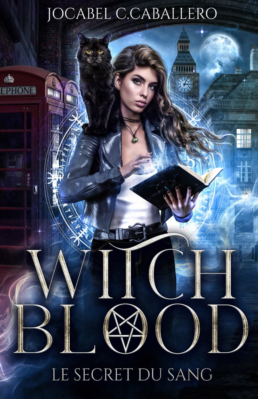 Witch Blood - 1. Le secret du sang book