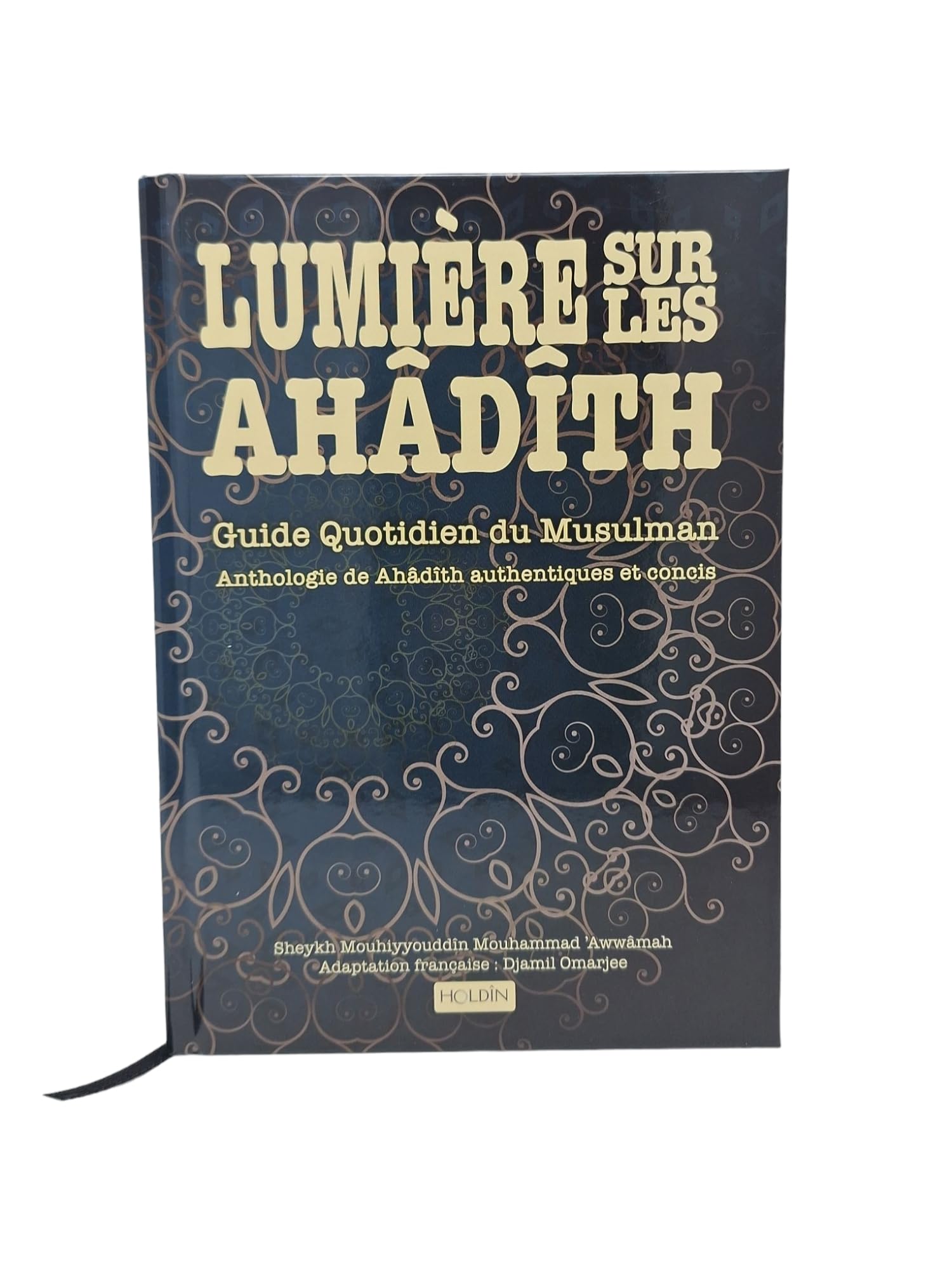 LUMIèRE SUR LES AHADITH : GUIDE QUOTIDIEN DU MUSULMAN book