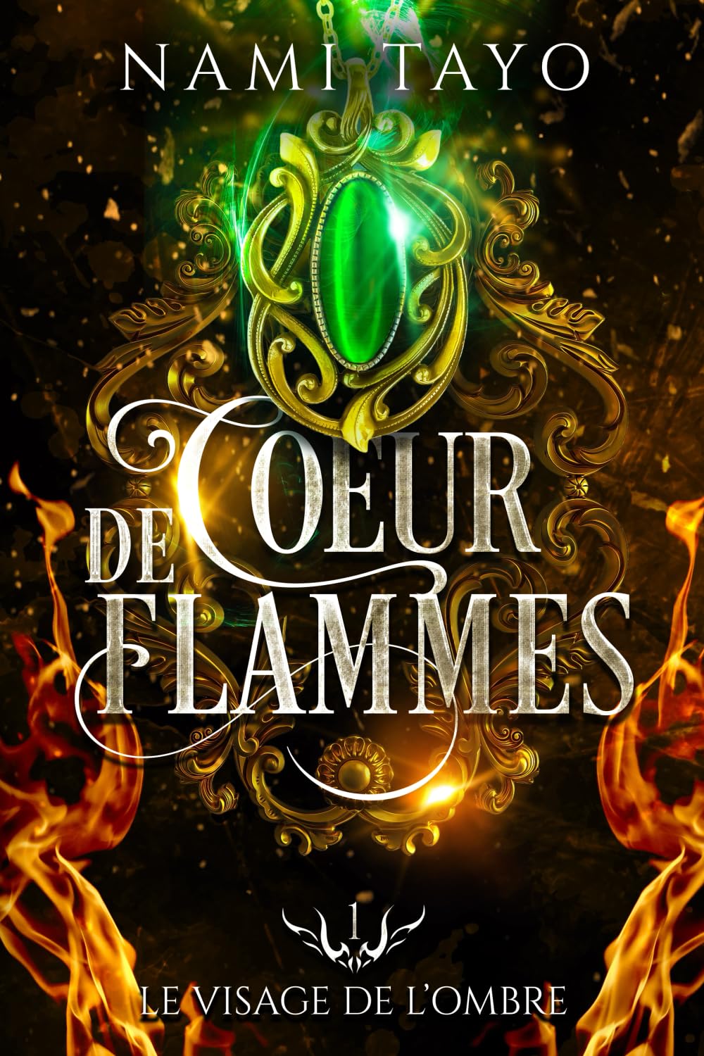 Le visage de l'ombre: Coeur de flammes, tome 1 book