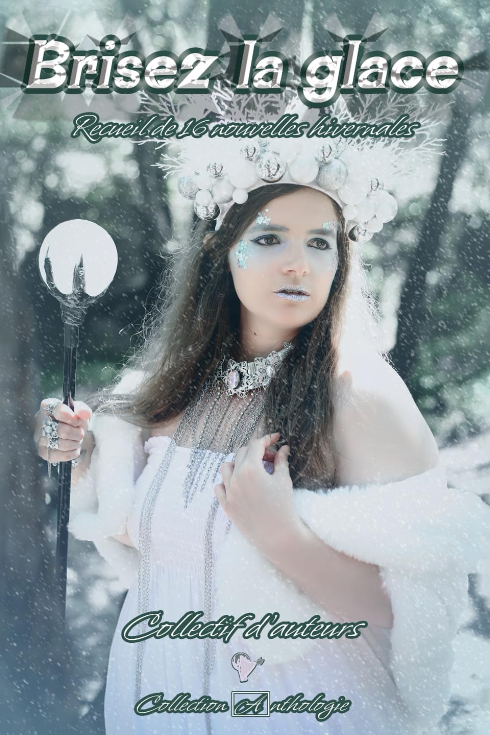 Brisez la glace: Recueil de 16 nouvelles hivernales book