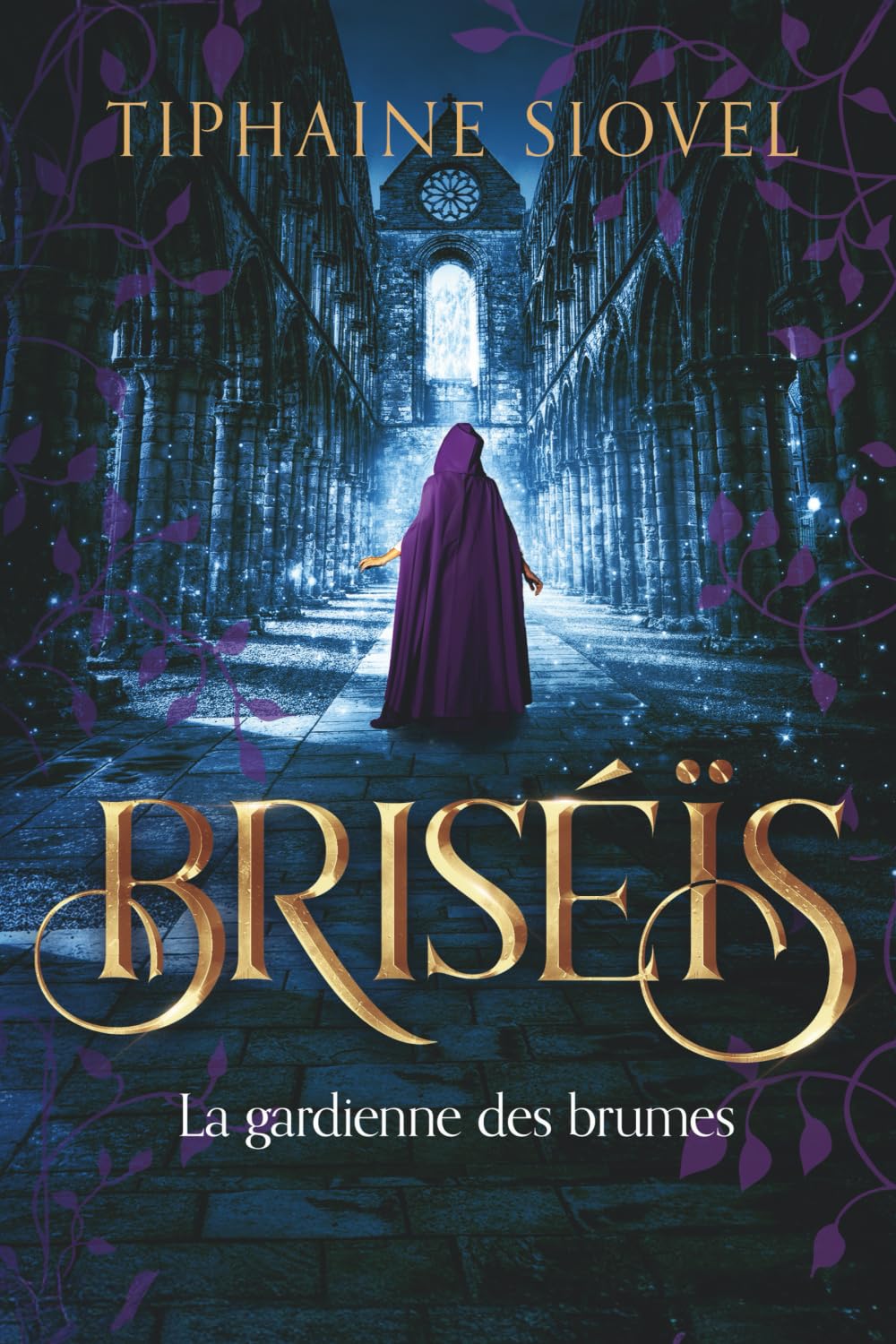 Briséïs: La Gardienne des brumes book