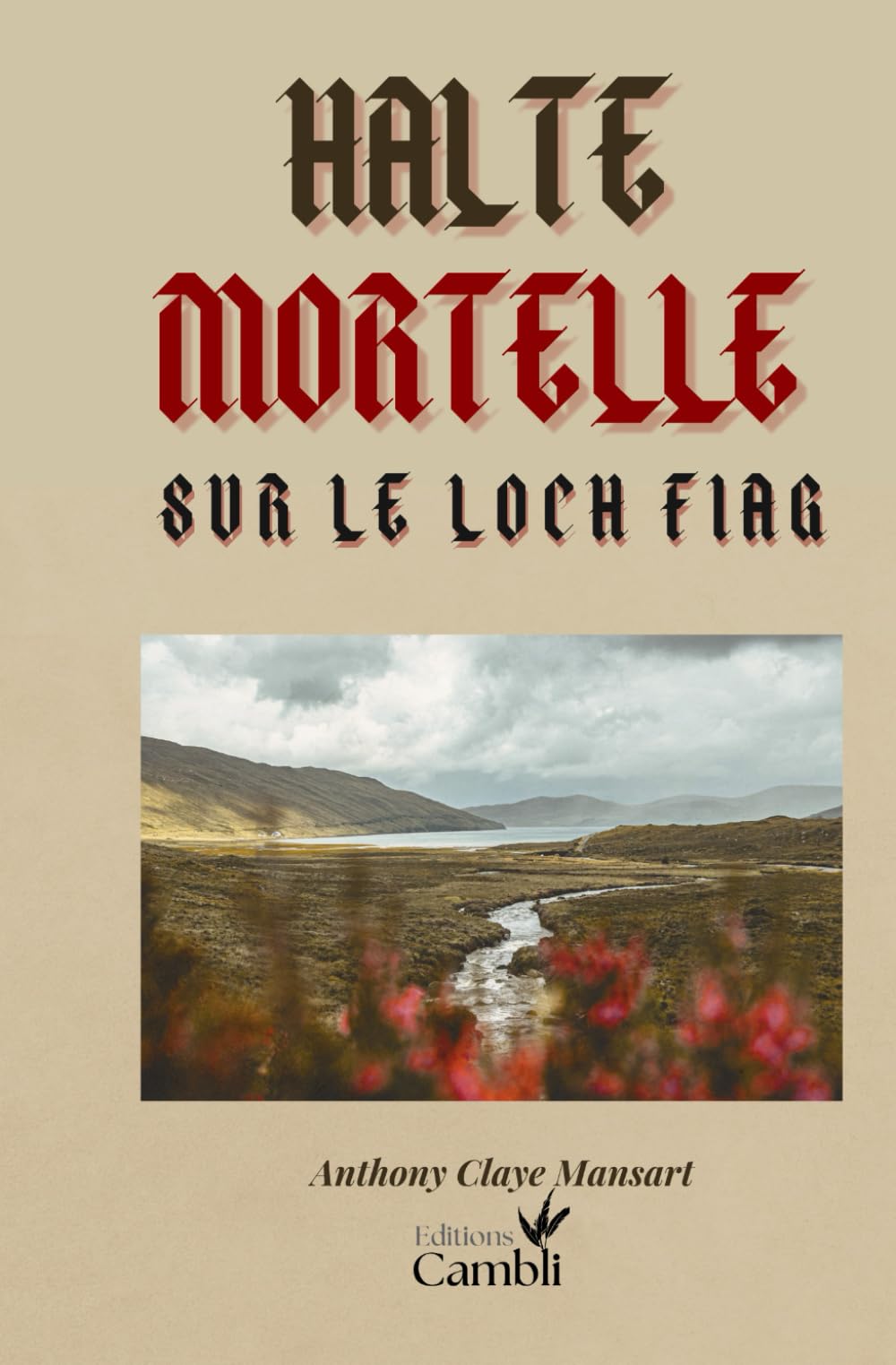 Halte mortelle sur le loch Fiag: suivi de Disparitions au musée et de Rien ne va plus book