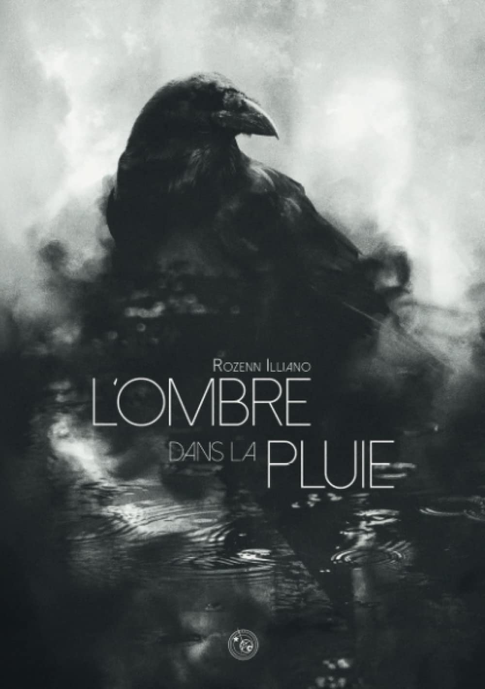 L'Ombre dans la Pluie book