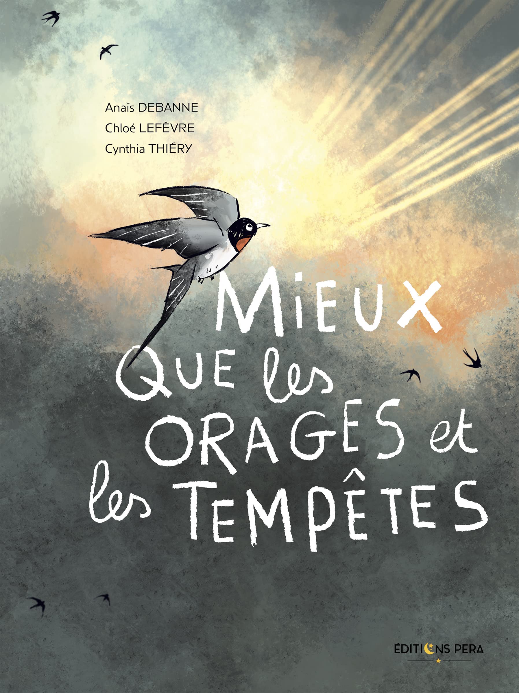 Mieux que les orages et les tempêtes book