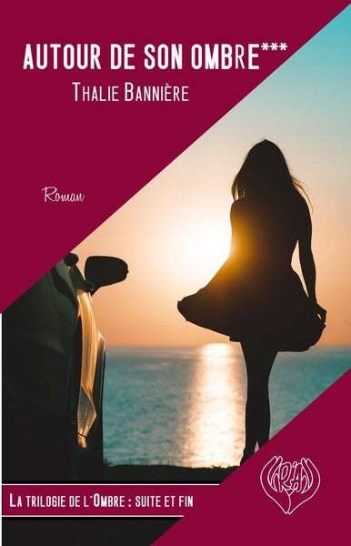 Dans son ombre. Vol. 3. Autour de son ombre book