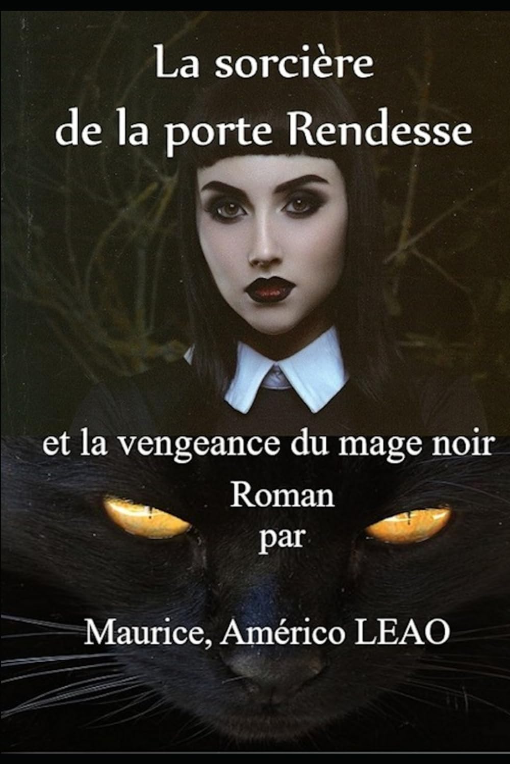 La sorcière de la porte Rendesse: La vengeance du mage noir book