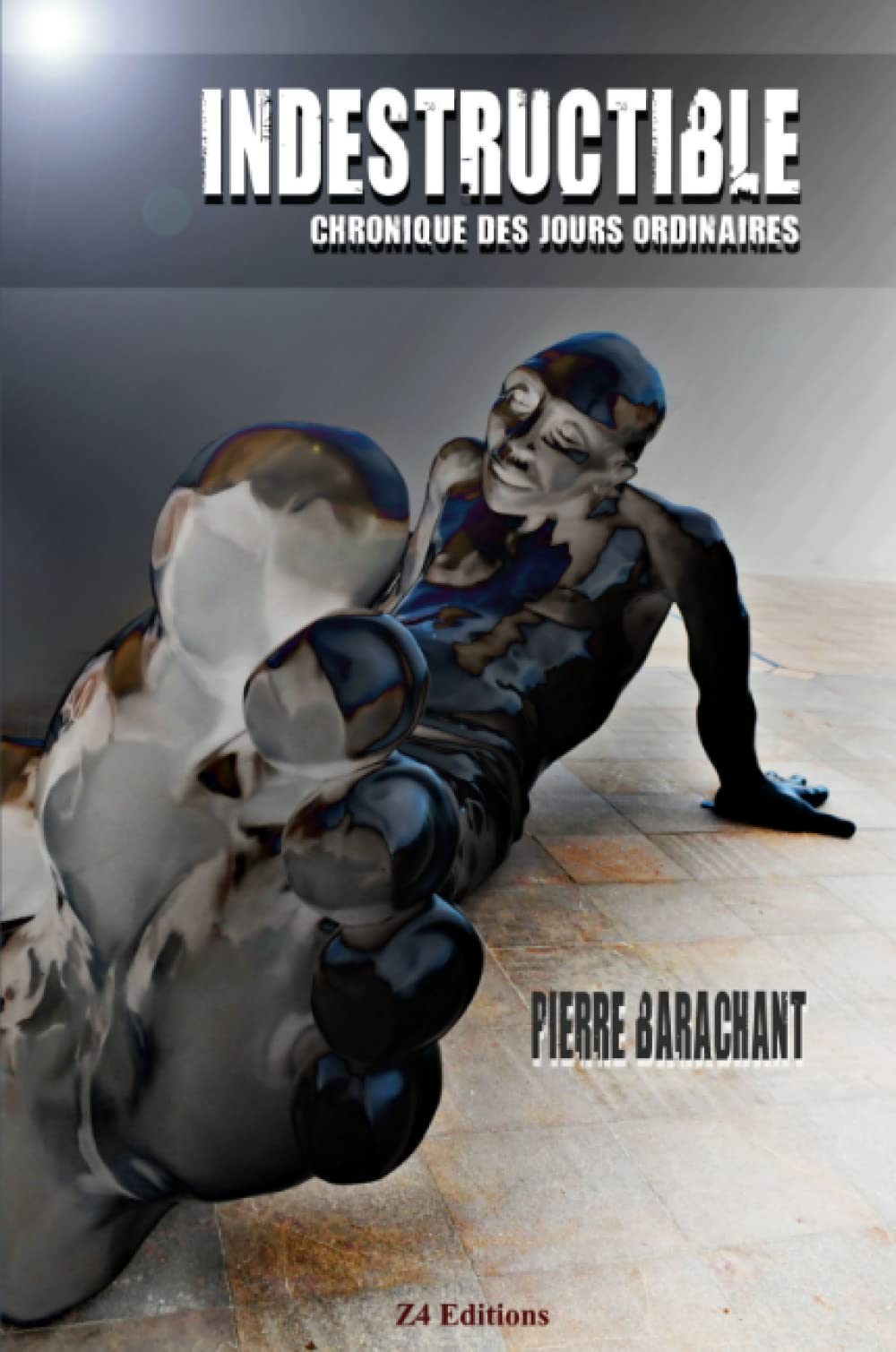 INDESTRUCTIBLE Chronique des jours ordinaires book