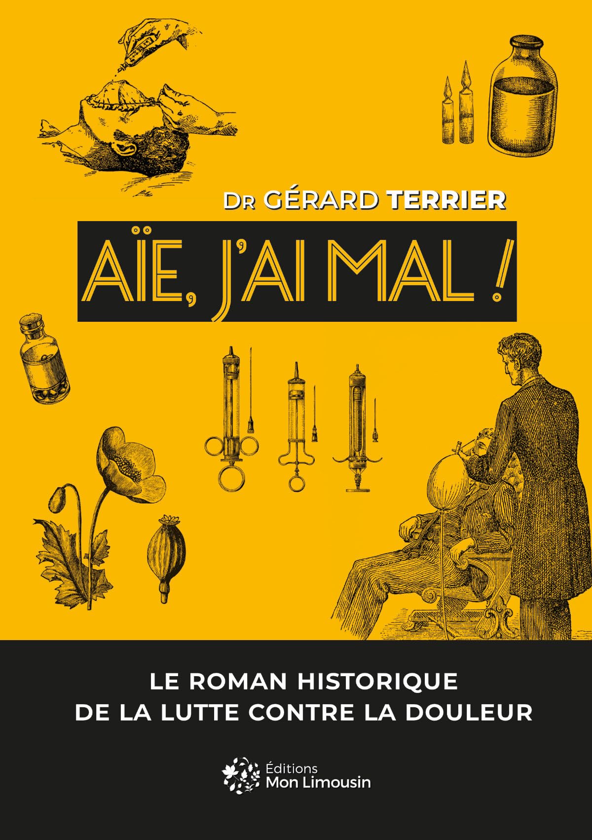 Aïe, j'ai mal !: Le roman historique de la lutte contre la douleur book
