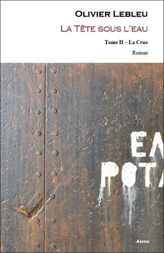La tête sous l'eau, Tome 2 : La crue book