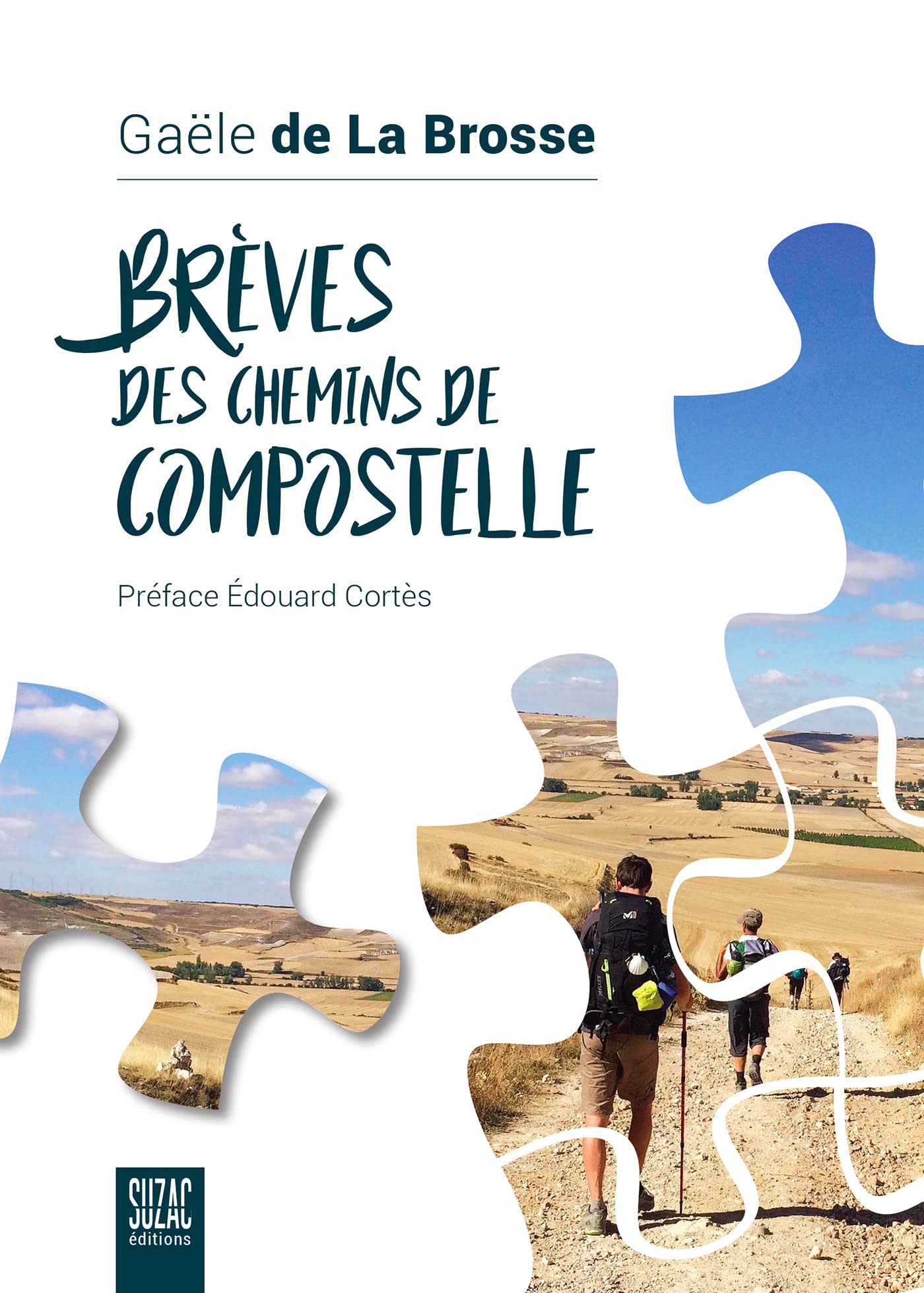 Brèves des chemins de Compostelle book