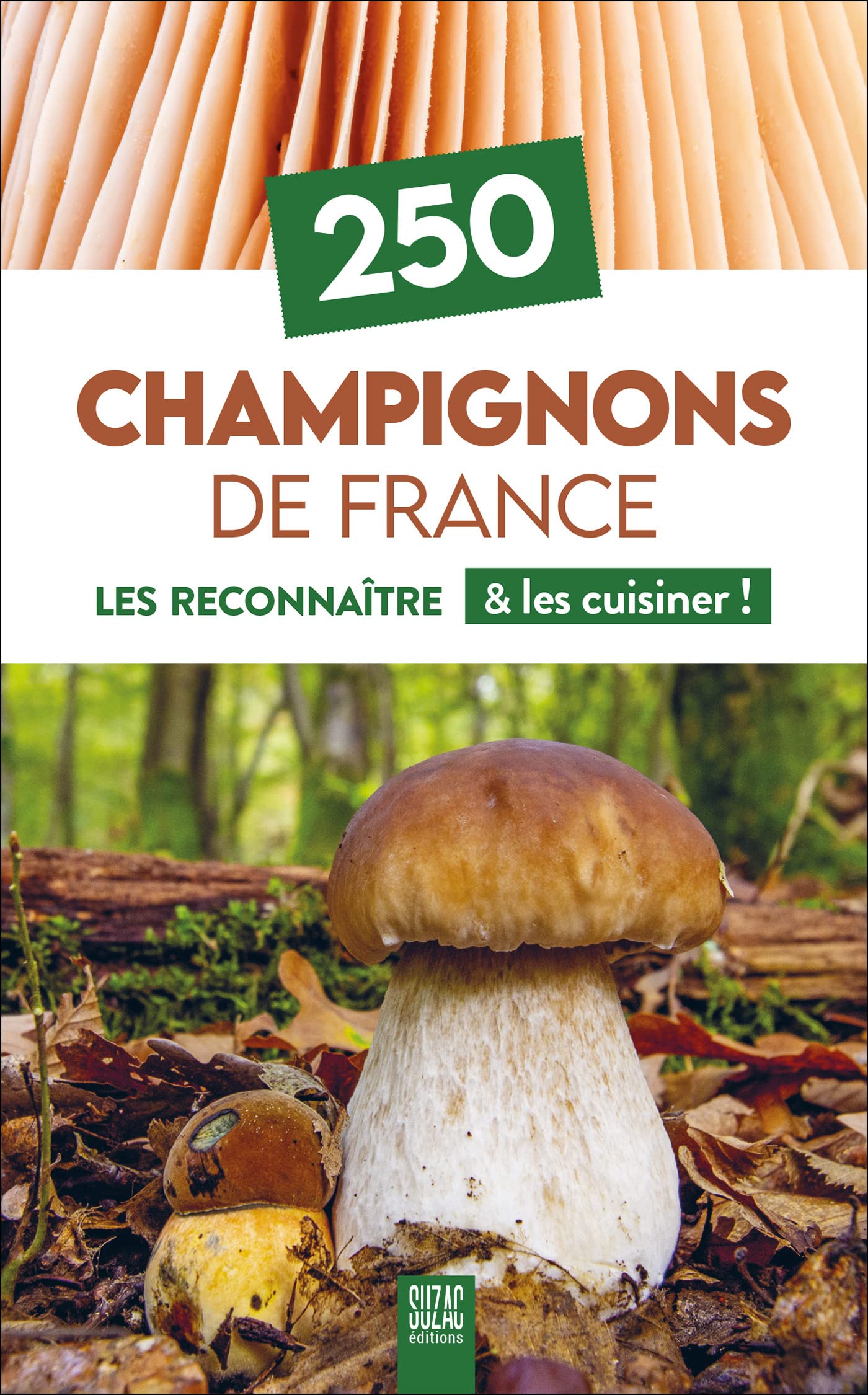 250 Champignons de France: Les reconnaître & les cuisiner Leisure, Home & Garden