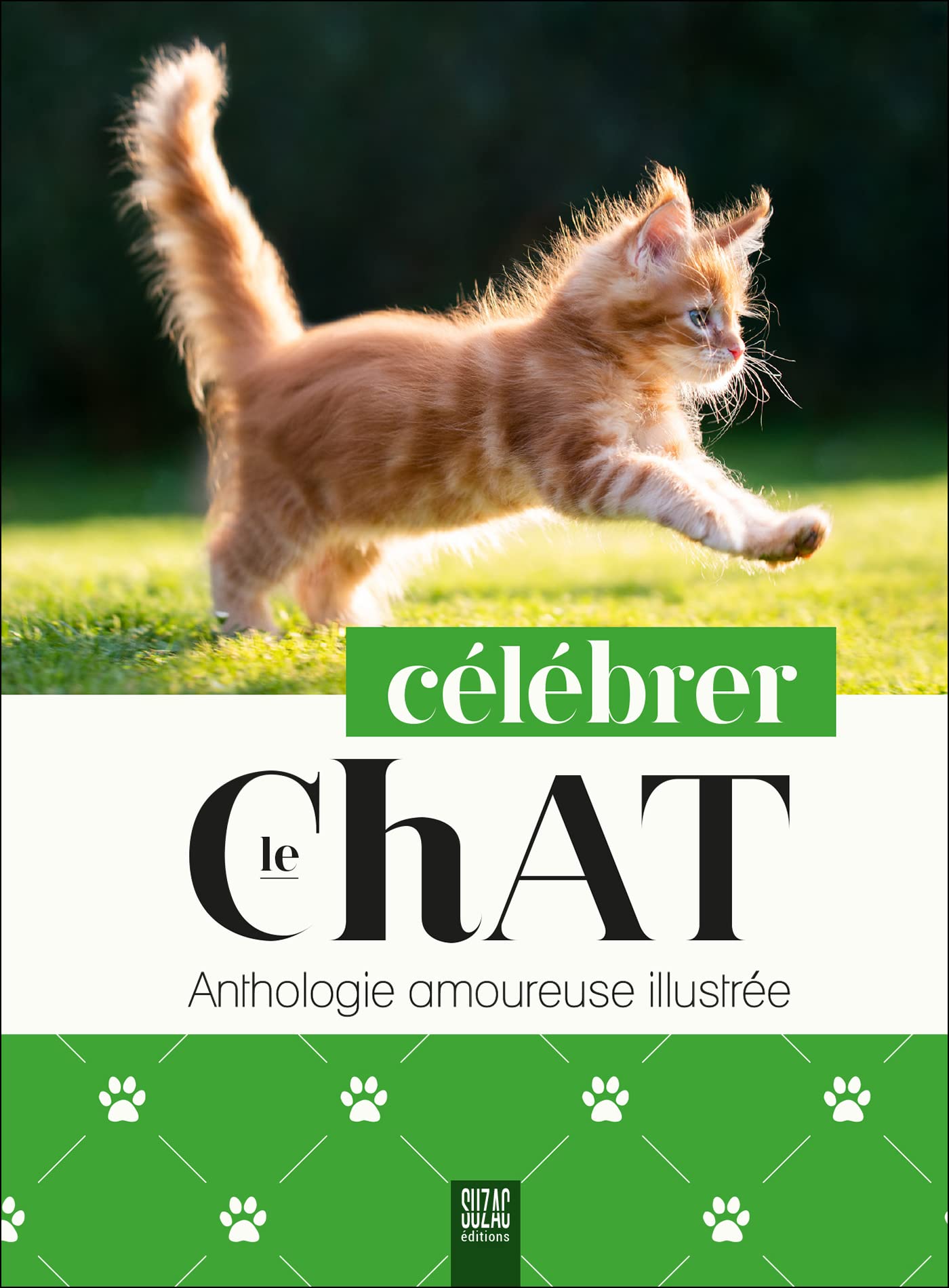Célébrer le chat: Anthologie amoureuse illustrée Film, Art & Culture