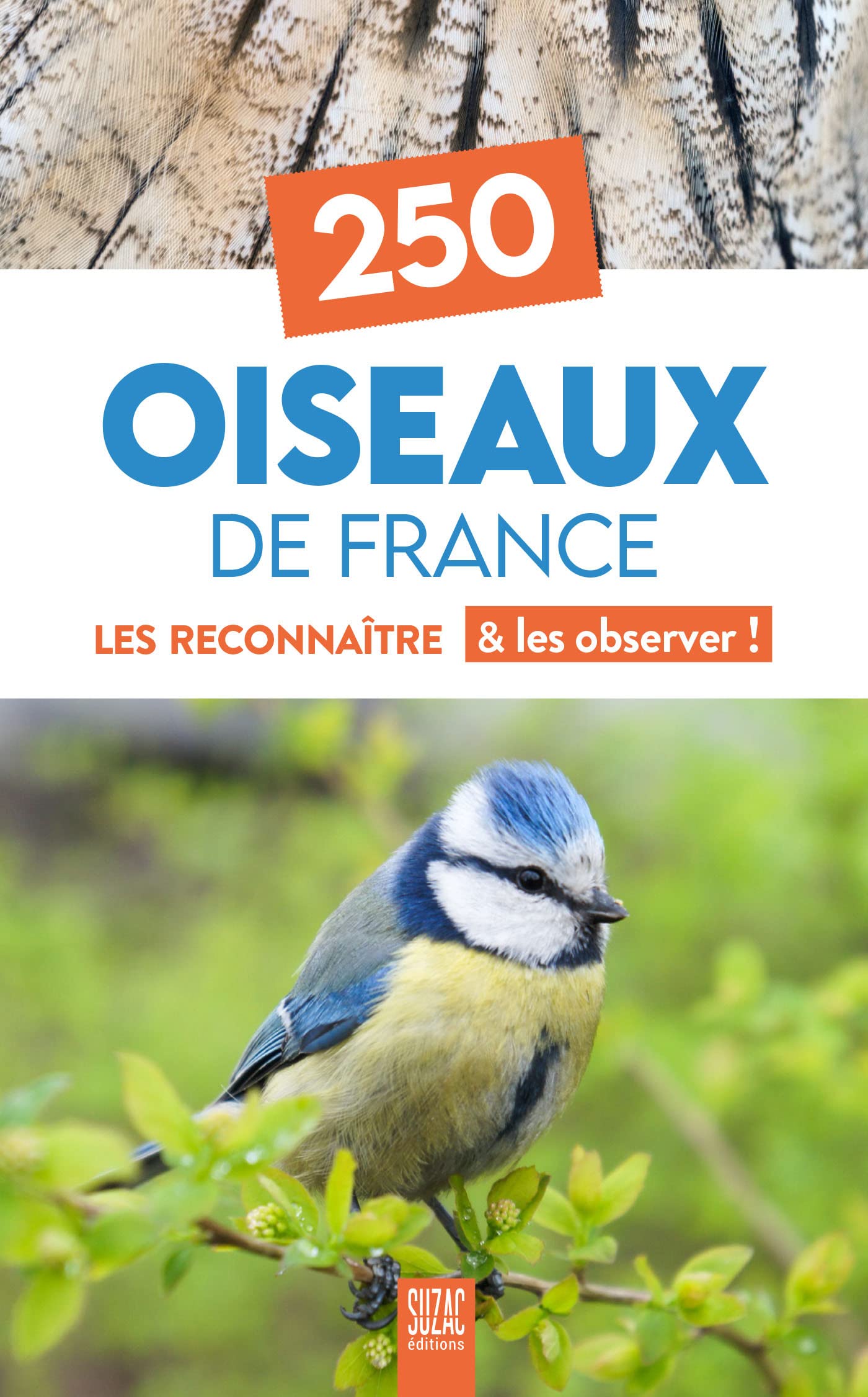 250 oiseaux de France: Les reconnaître & les observer ! Leisure, Home & Garden