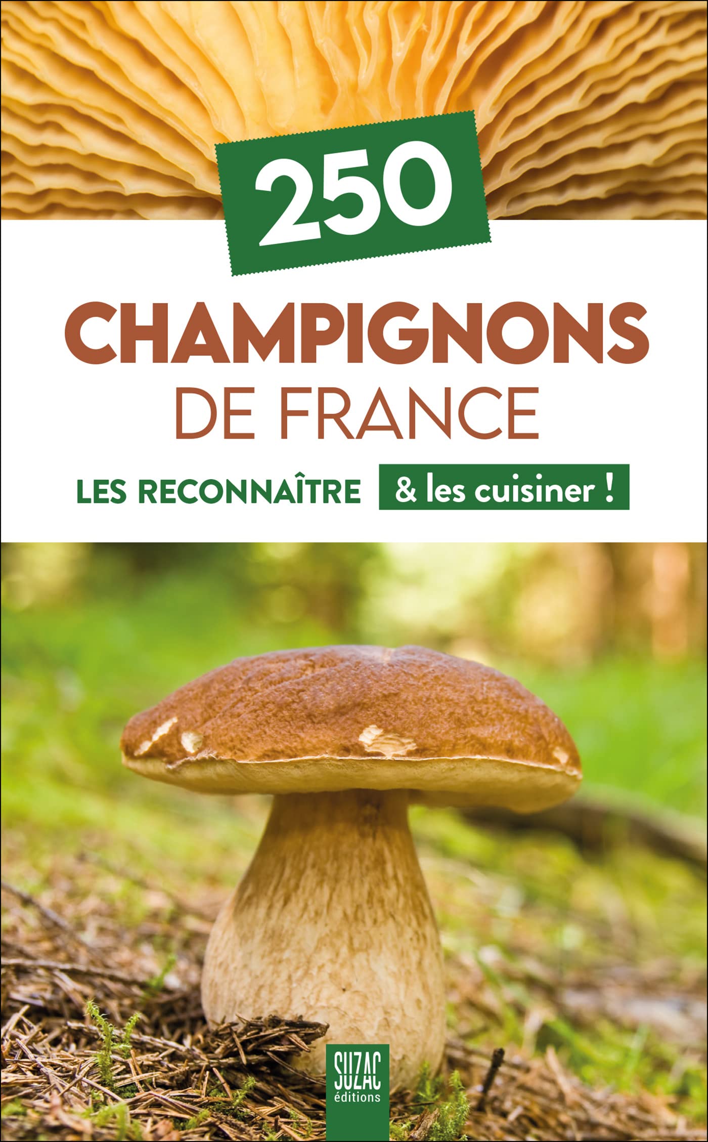 250 Champignons de France: Les reconnaître & les cuisiner ! Leisure, Home & Garden
