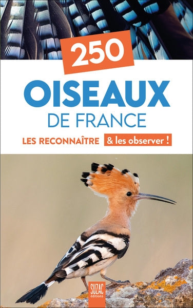 250 oiseaux de France : les reconnaître & les observer ! Leisure, Home & Garden