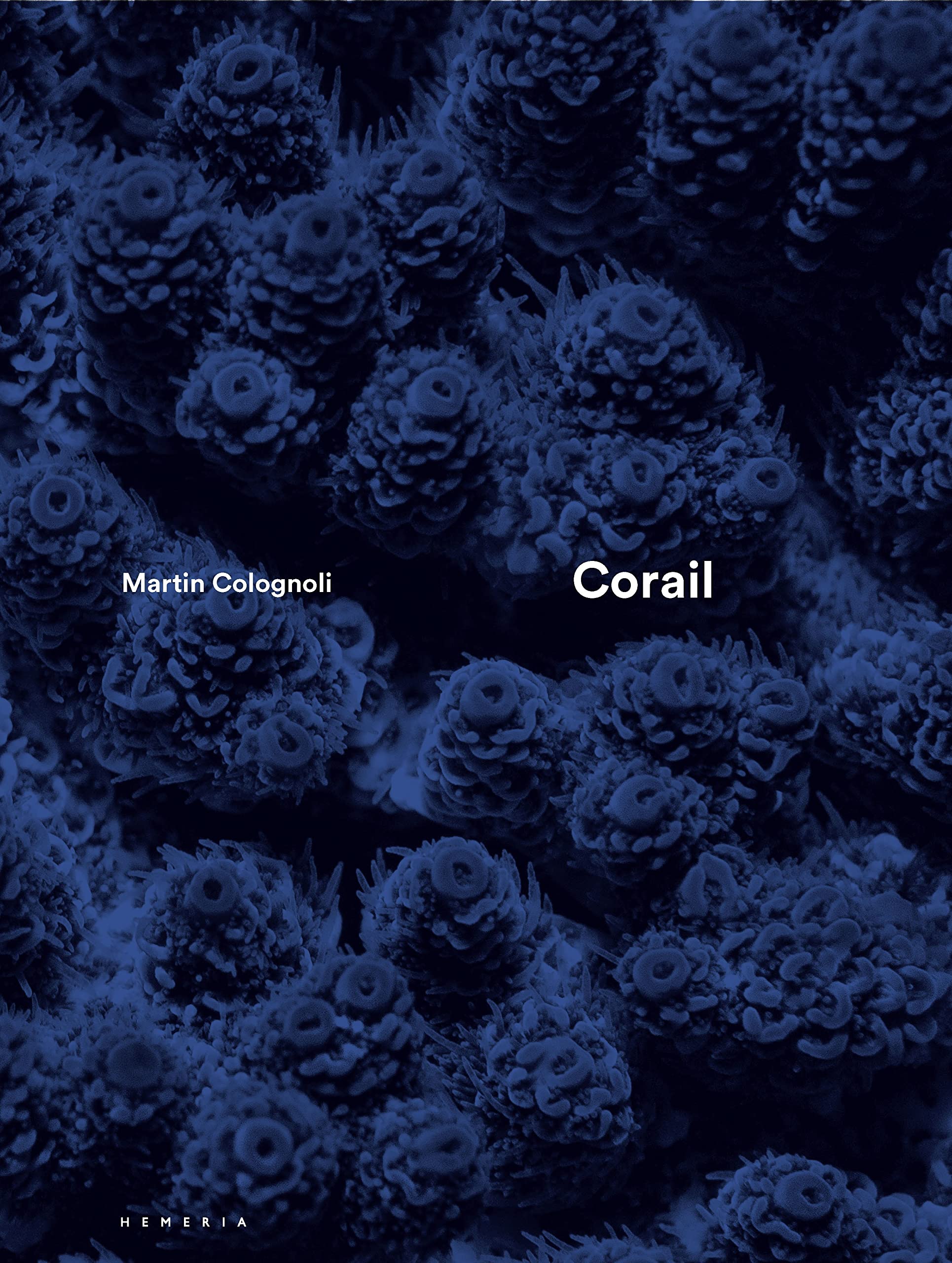 Corail: Martin Colognoli Travel