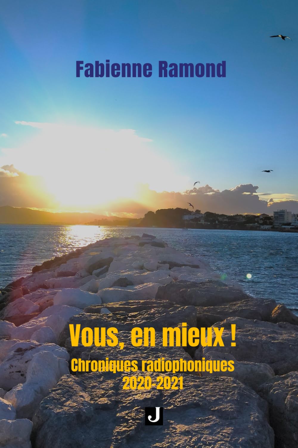 Vous en mieux !: Chroniques radiophoniques 2020 – 2021 book
