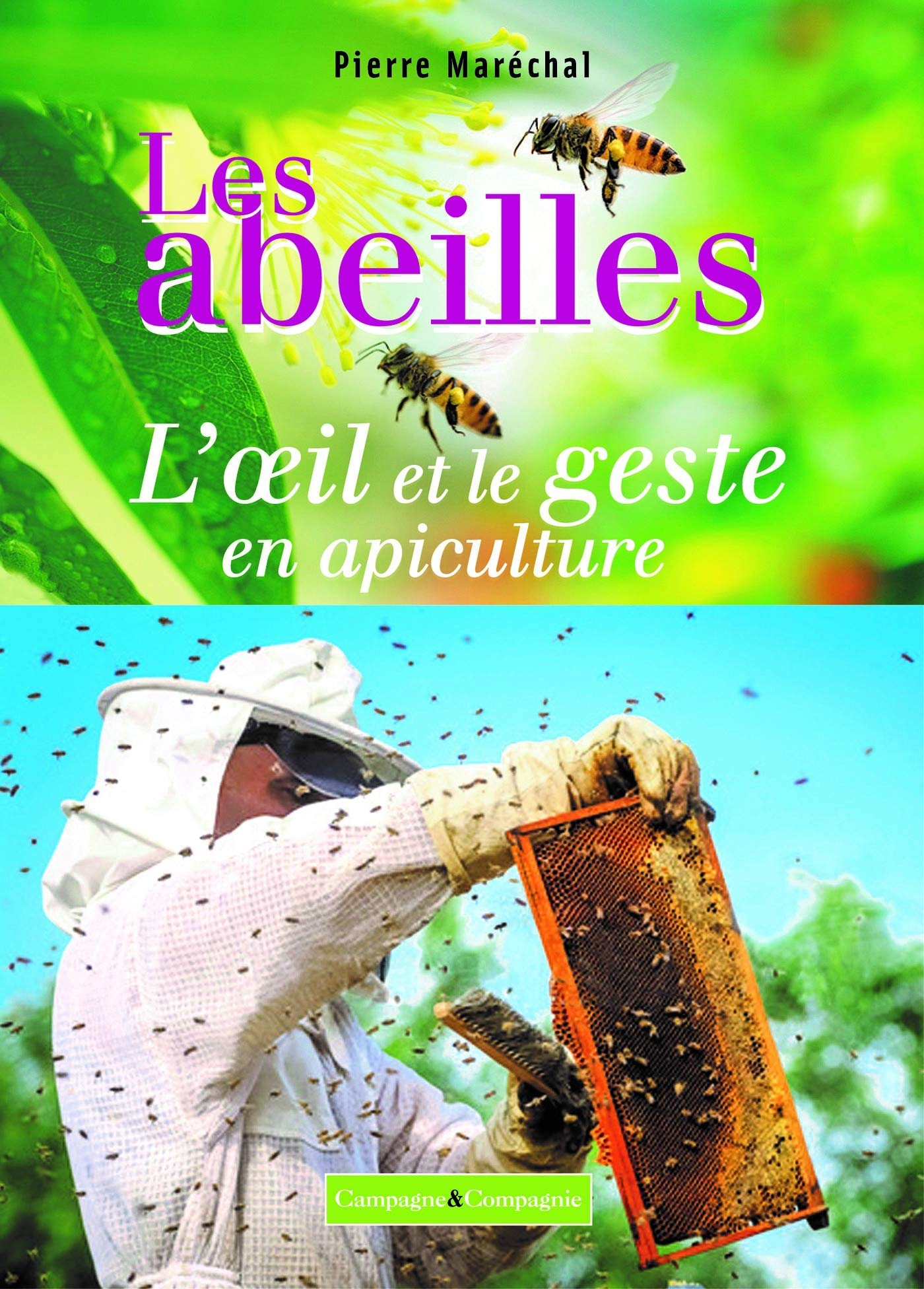 Les abeilles, l'oeil et le geste en apiculture book
