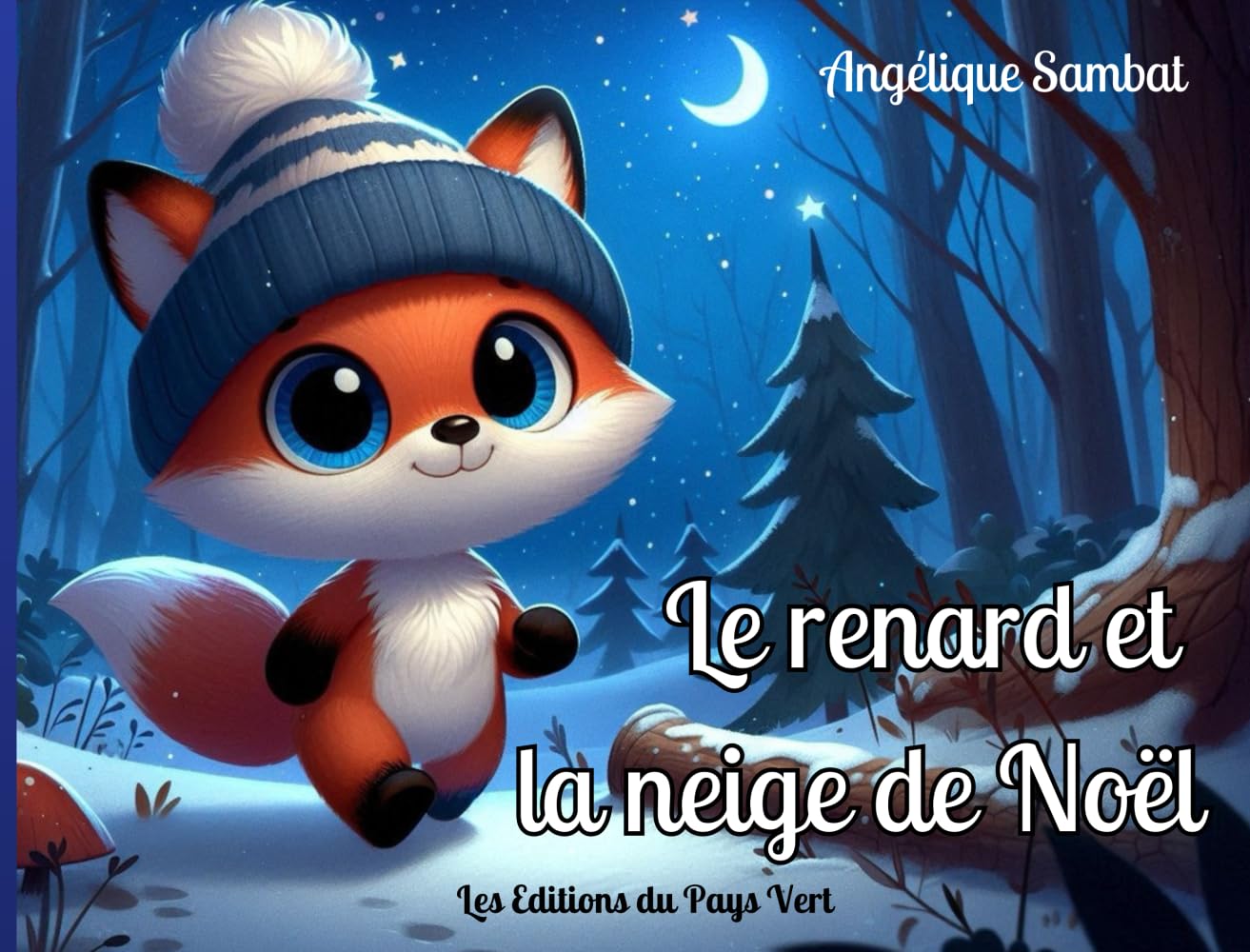 Le renard et la neige de Noel book