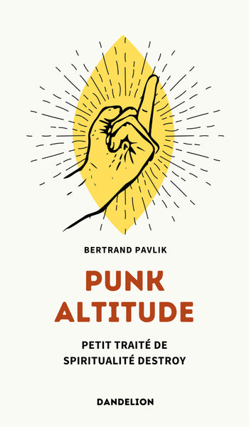 Punk altitude : petit traité de spiritualité destroy book