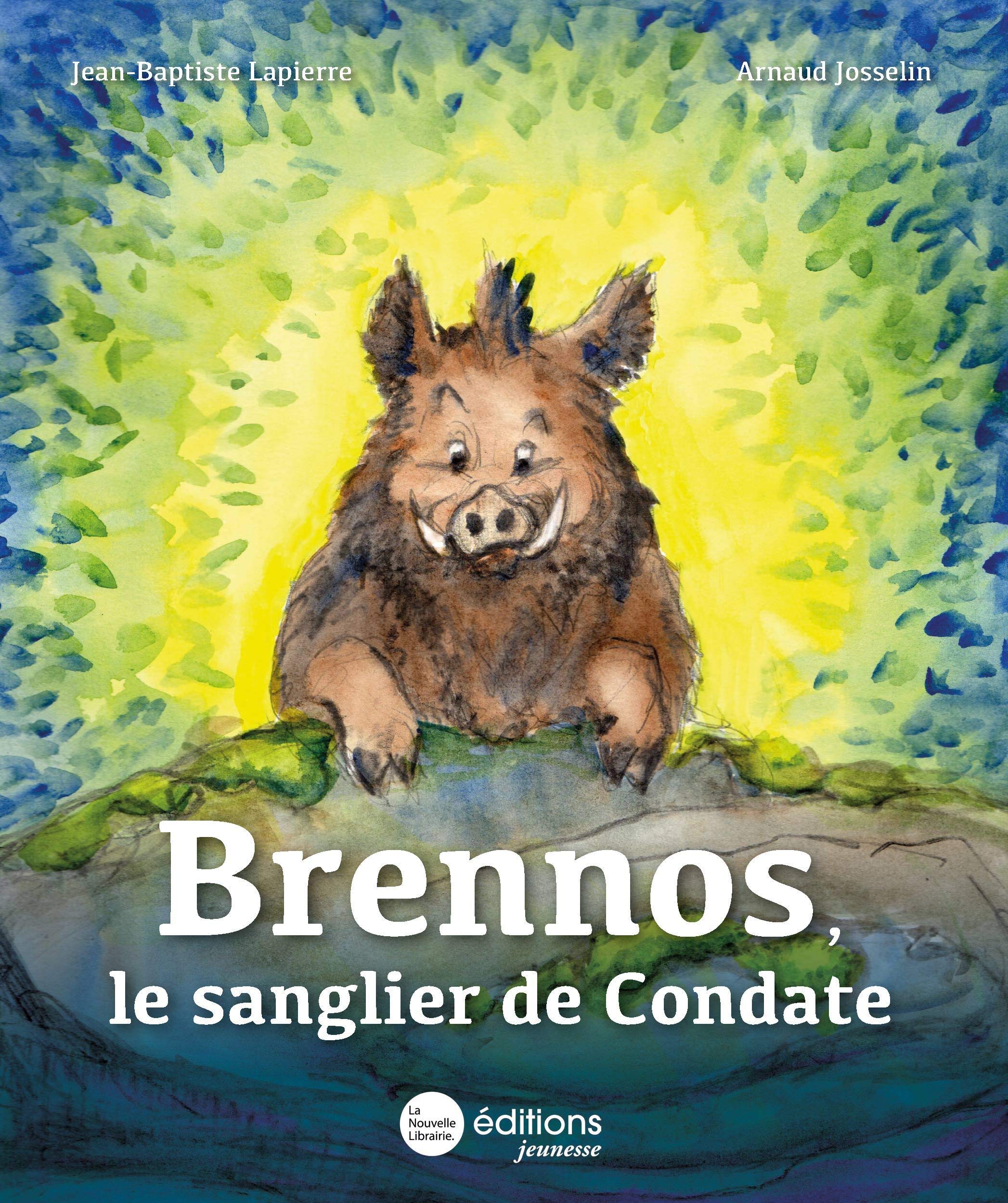 Brennos, le sanglier de Condate book