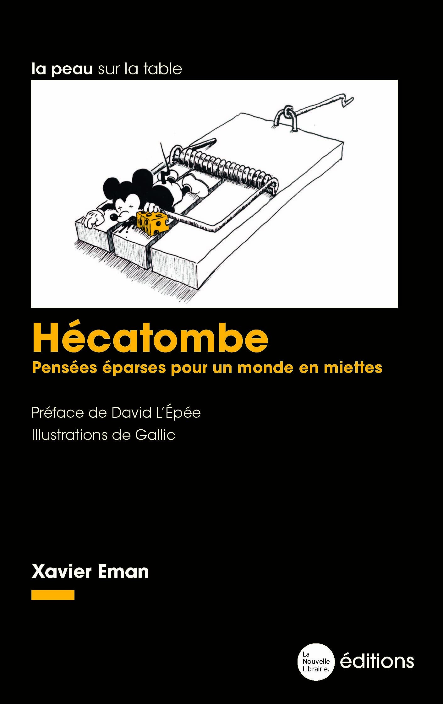 Hécatombe: Pensées éparses pour un monde en miettes book
