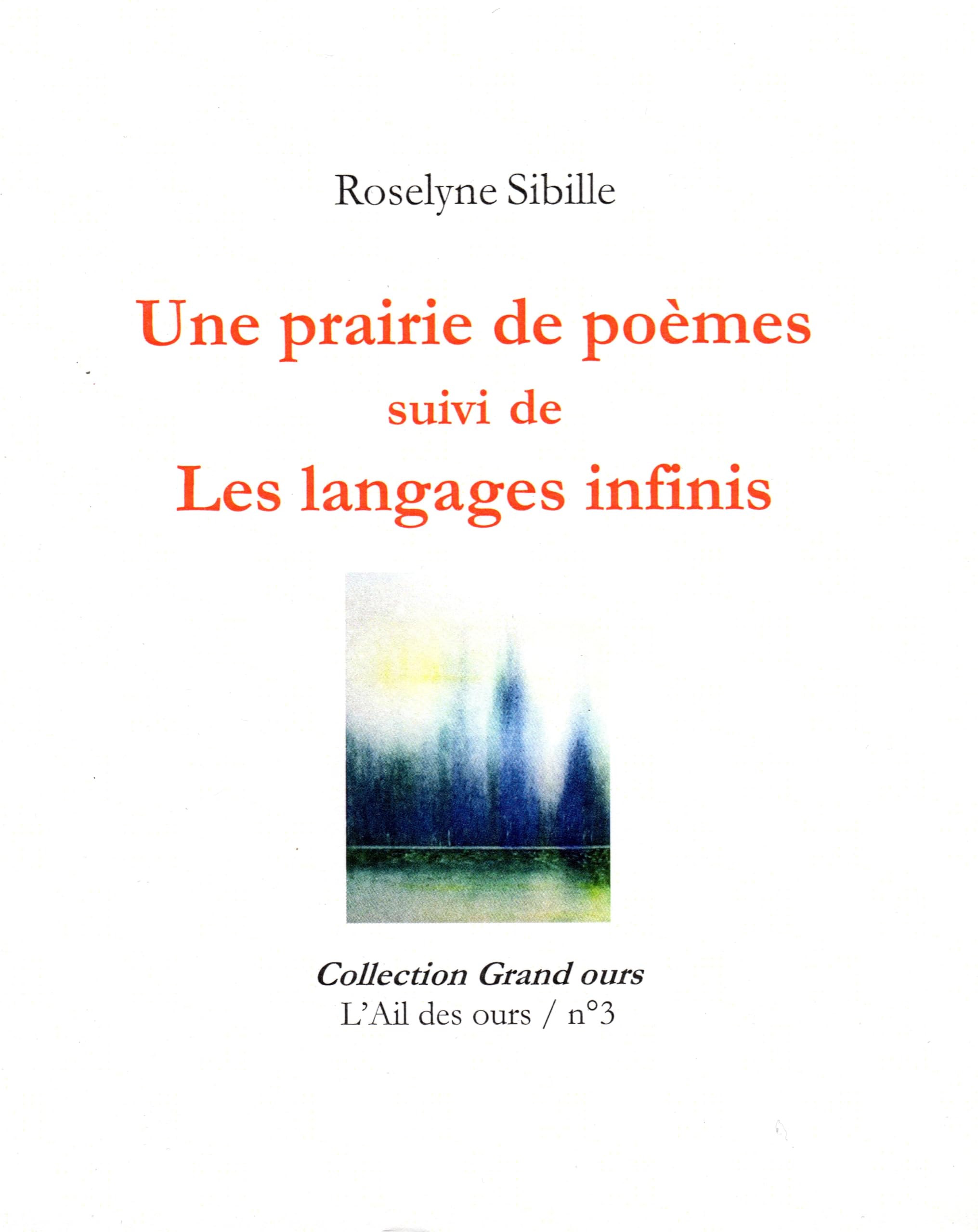 Une prairie de poèmes: Suivi de Les langages infinis (Grand ours) Poetry