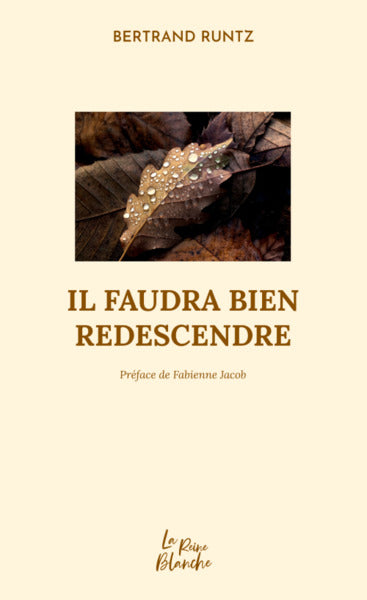 Il faudra bien redescendre book